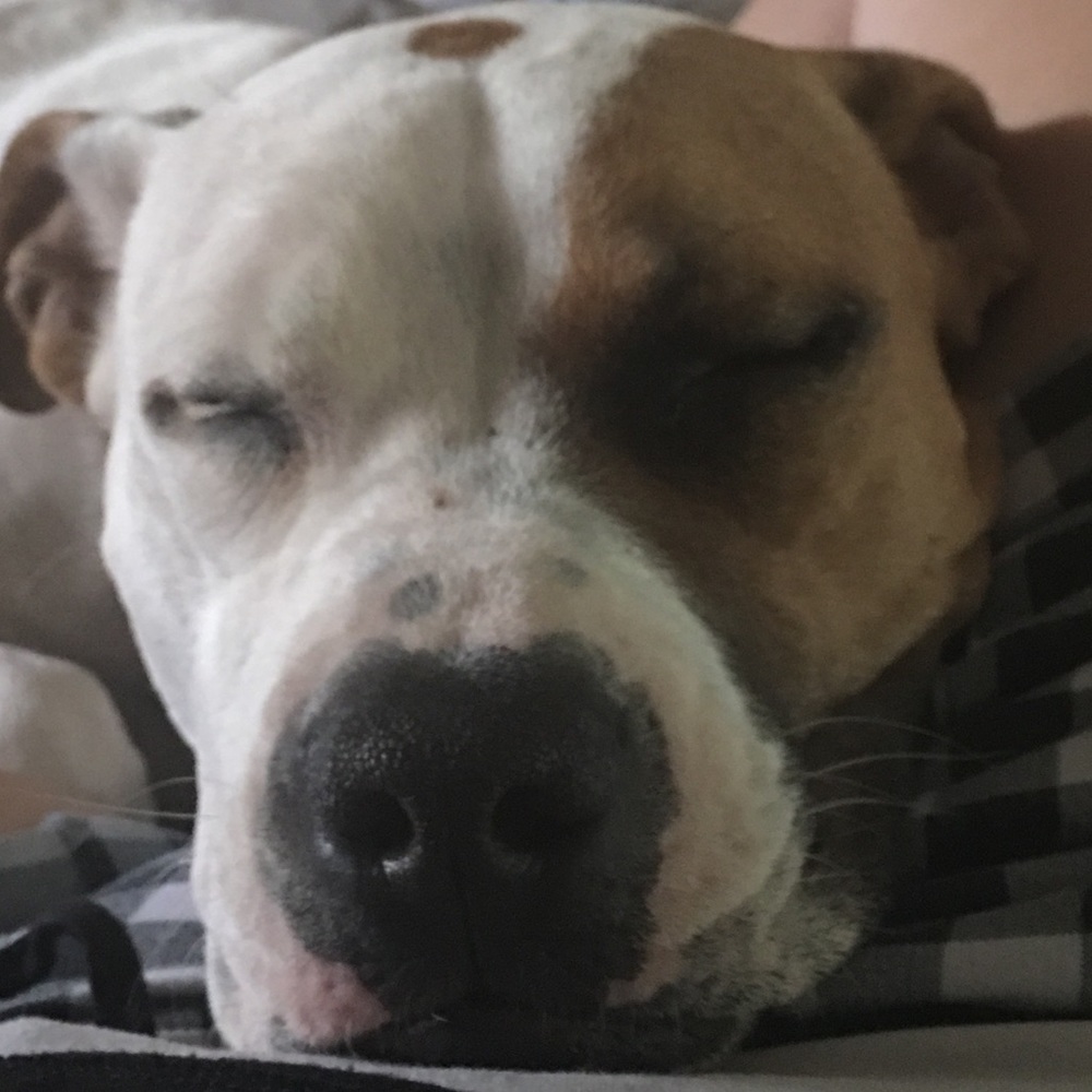 Meet your Posher, Mrs bense